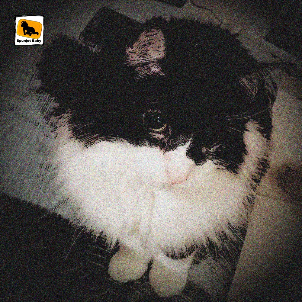 Catalog SPU-61 to SPU-66 Cover Art